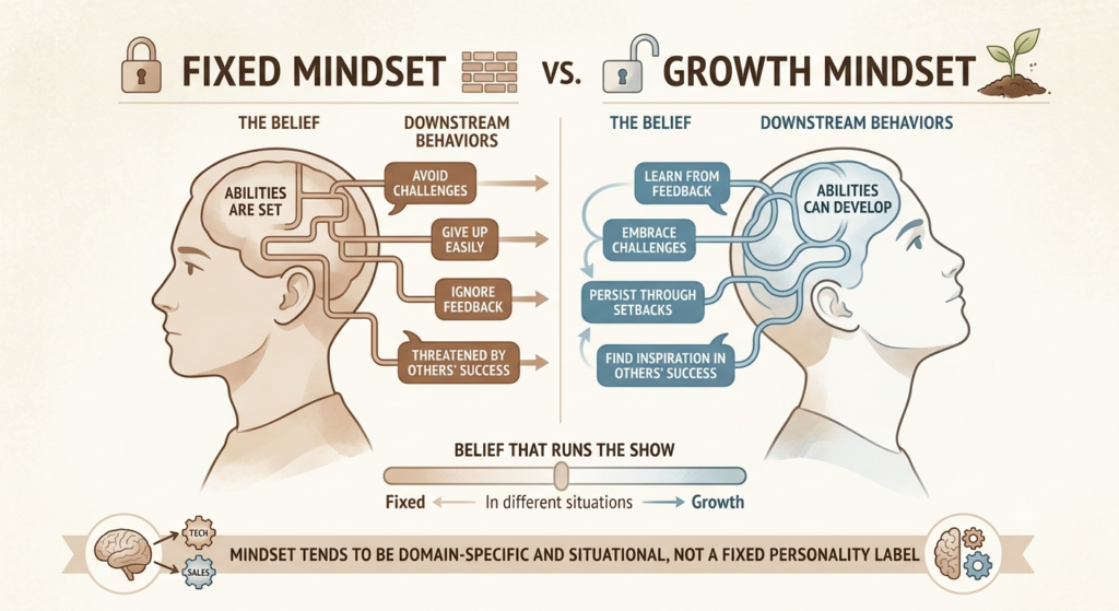 Growth Mindset vs Fixed Mindset
